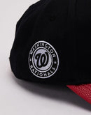 Pro Standard MLB Washington Nationals Blossom Hat
