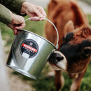 Behrens 5 Quart Hot Dipped Steel Pail