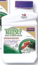 KLEENUP PT CONC BOTANICAL