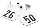 Allflex Tag System Maxi Female White W/buttons 4" X 3" White 26 - 50