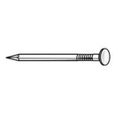 Zoro Tools Box Nail, Galvanized, Flat, 6d 2"