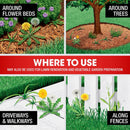 Roundup® Weed & Grass Killer₄ Concentrate