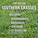 Roundup® for Southern Lawns