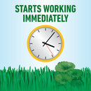 Roundup® for Southern Lawns