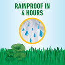 Roundup® for Southern Lawns