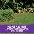Roundup® for Southern Lawns