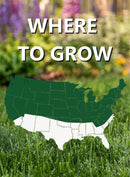 Jonathan Green Black Beauty® Dense Shade Grass Seed
