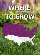 Jonathan Green Black Beauty® Heavy Traffic Grass Seed