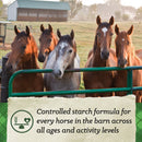 Nutrena® SafeChoice® All Life Stages