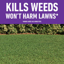 Roundup® for Lawns4 Ready-To-Use (Southern)