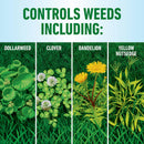 Roundup® for Lawns4 Ready-To-Use (Southern)