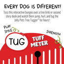 Jolly Pets Tree Tugger Bungee