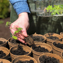 Ferry-Morse Jiffy-Pots Peat Pots