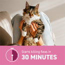 CAPSTAR® (nitenpyram) Oral Flea Treatment for Cats