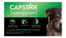 CAPSTAR® (nitenpyram) Oral Flea Treatment for Dogs