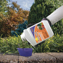 Bonide Fung-onil Fungicide Concentrate