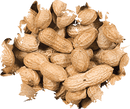 Wild Delight Inshell Peanuts