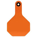 All American Livestock Tag, Blank, Medium, Orange, 25-Pk.