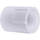 Genova Products Sch. 40 Female Adapters