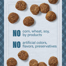 Nutrena® Loyall Life® Advanced Solutions Sensitive Skin & Coat Salmon & Oatmeal Recipe Adult Dog Food