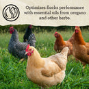 Nutrena® NatureWise® Hearty Hen® 18% Soy-Free Protein Pellet