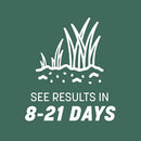 Pennington Kentucky 31 Tall Fescue Grass Seed