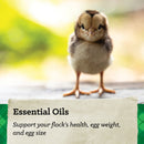 Nutrena® NatureWise® Chick Starter Grower 18% Protein Crumble Feed