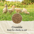 NatureWise® Chick Starter Grower 18% Protein Crumble Medicated