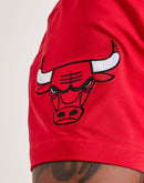 Pro Standard Chicago Bulls Tee