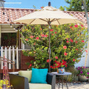 Abba Patio Apple-shaped Market Umbrella
