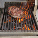 Solid Fuel Insert