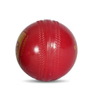 SG Everlast Tec Synthetic Cricket Ball, Red