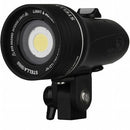 Light and Motion Stella 1000 LED Light