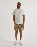 The North Face Evolution Box Logo Tee