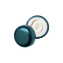 The Rejuvenating Night Cream