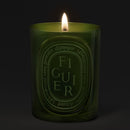Figuier (Fig Tree) Candle