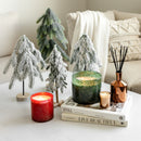 Woodland Spruce Candle (Limited Edition)