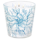 Ocean Mist & Sea Salt Decorative Candle