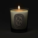 Baies (Berries) Candle