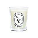 Mimosa Candle