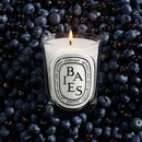 Baies (Berries) Candle