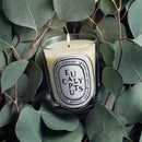 Eucalyptus Candle