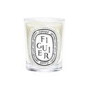 Figuier (Fig Tree) Candle