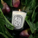 Figuier (Fig Tree) Candle