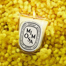 Mimosa Candle