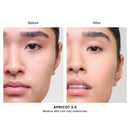 Vanish Airbrush Concealer