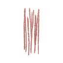 Lip Liner Pencil