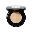 Brow Powder Duo
