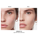 Vanish Airbrush Concealer