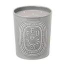 Feu de Bois (Wood Fire) Candle